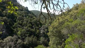 Casa Vacanze Paola 2 img29