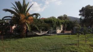 Country Village House