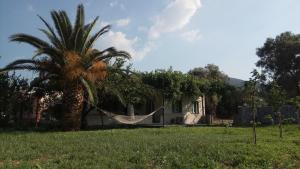 Country Village House