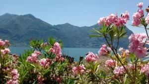 格拉兹拉度假屋 - 洛韦雷