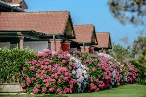 La Pecora Ladra Appartamenti - Torre di Montalto