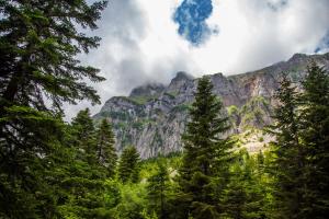 Anavasi Mountain Resort Tzoumerka Greece