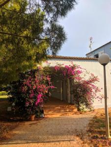 Privát Silvia Villa Picassent Španielsko