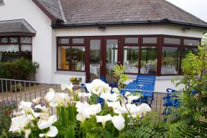 Mourneview B & B