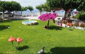 Akrogiali Beach Rooms