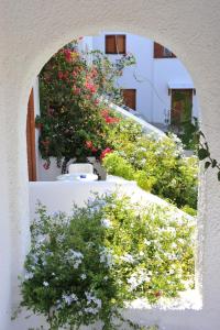 Eri Hotel Paros Greece