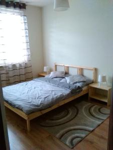 Apartament Andersa 16