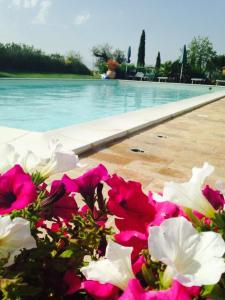 Agriturismo I Romiti