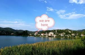 Apartment Cvijanović