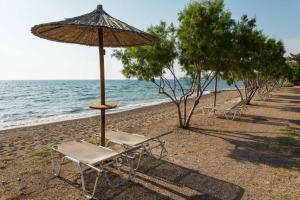 Delfinia Hotel & Bungalows Lesvos Greece