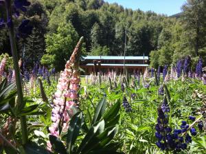 Hotel Boutique Nalcas