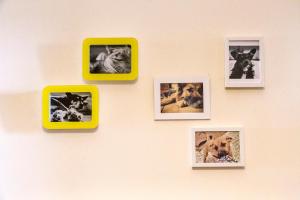 Downtown Shelter - Casa da Praça