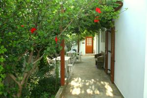 Dimitra Studios Naxos Greece