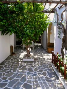 Dimitra Studios Naxos Greece