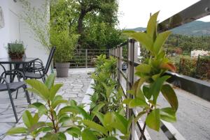 Panorama house Kavala Greece