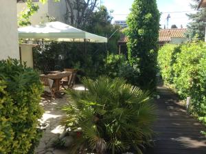 La palmeraie photo 24