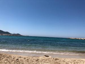 La palmeraie photo 6