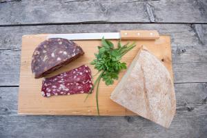 Farmstay&Glamping Visočnik