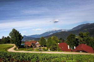 Pension Tourist Farm Visočnik Ljubno Slowenien