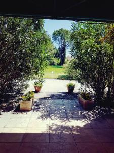 Mas Des Vertes Rives photo 9