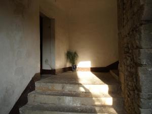 Maisons de vacances Chez Marcel : photos des chambres