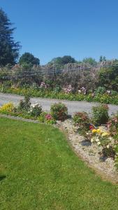 Tulla Villa Self Catering