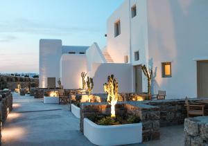 Mykonos Cactus Myconos Greece