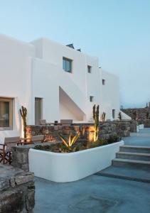 Mykonos Cactus Myconos Greece