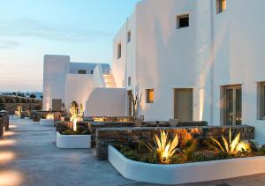 Mykonos Cactus Myconos Greece