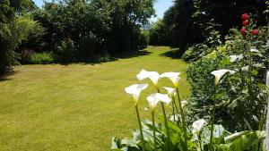 B&B / Chambres d'hotes Chambre d'hotes Liz'A : photos des chambres