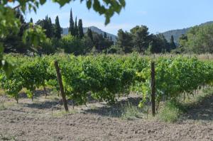 Appart'hotels Domaine du Mas Foucray : photos des chambres