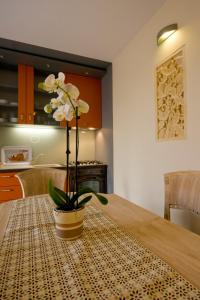 Rooms and Apartments Villa Dama 