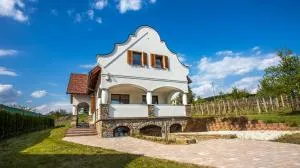 VIVAZA Villa Szigliget - 鲍道乔尼特尔代米茨