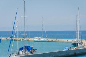 Central Apartment Thassos Greece