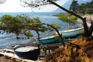 Appartements Studio Toulon proche Opera et Gare : photos des chambres