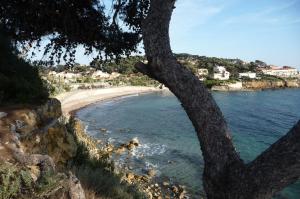 Appartements Studio Toulon proche Opera et Gare : photos des chambres