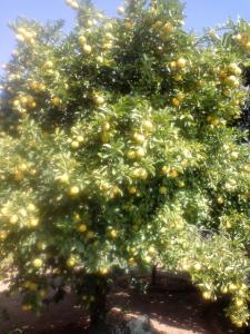 Heilas in house Family room-Homestay!