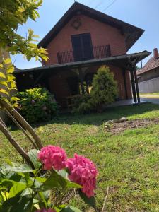 Cabană Flower Central House Novi Sad Serbia