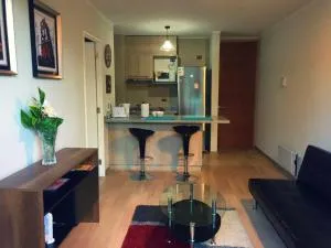 Apart Hotel R&P Depto A - فروتيلار