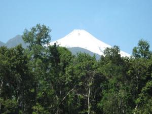 Bosques del Claro Sur