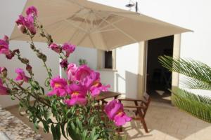 Home Holiday Salento Casa Agrosì Don Camillo