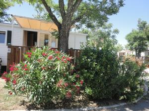 Campings Camping les Acacias : photos des chambres