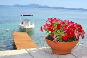 Villa Nissaki Olive Press and Cottage Corfu Greece