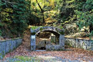 Foresta in Medias Mores Arkadia Greece