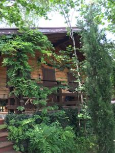 Chalet