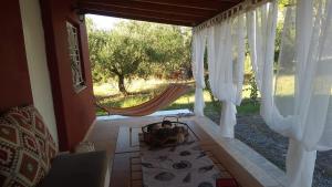 Olive garden guest house Messinia Greece