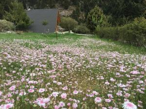 Chalet in the Forest Achaia Greece