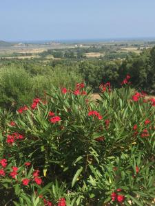 La Rosa dei Venti