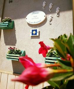 Il mare in un Boccaccio