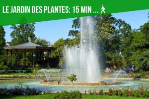 Appartements L'authentique - Coeur de ville : photos des chambres